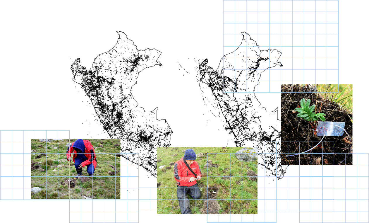 Numero de especies de Peru por departamento